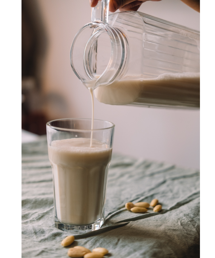 BEST Nut Milk Makers