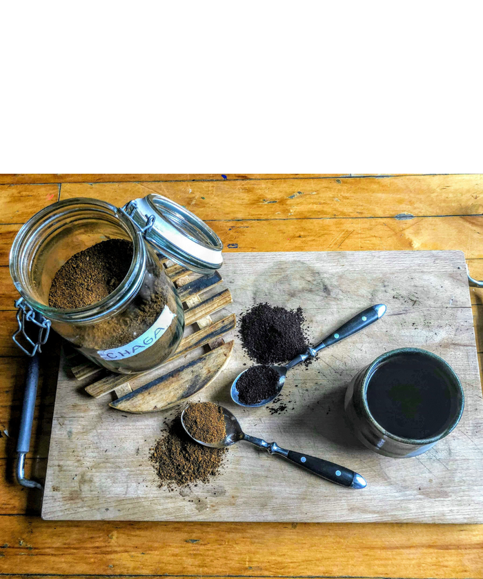 Best Mushroom Coffee