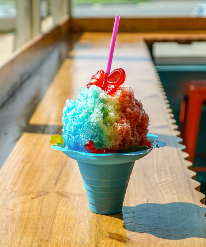 3 Best Shaved Ice Machines ~ 2023