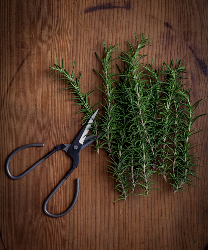 Kitchen Shears That Will Change Your Culinary Game!